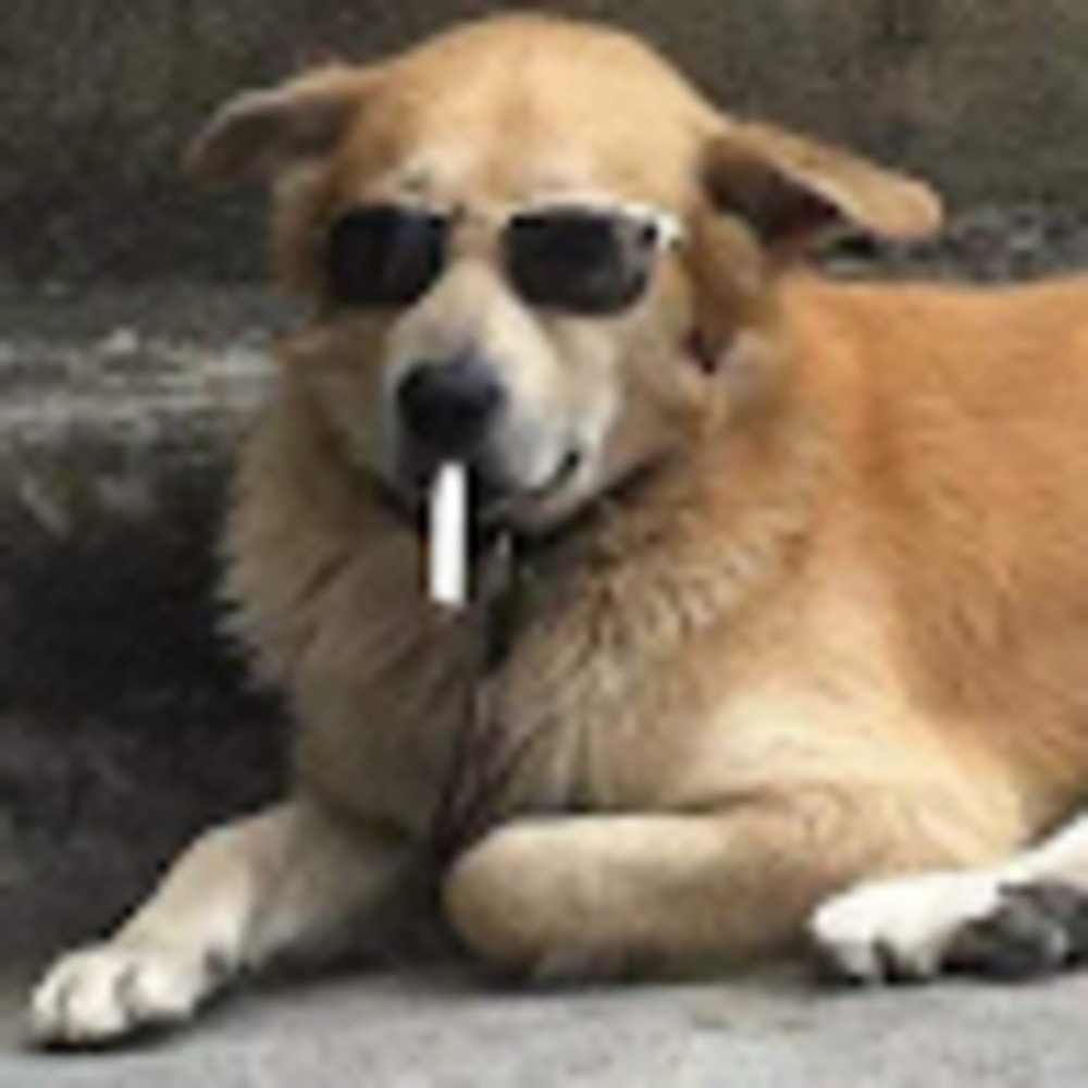 Meet your Posher, Adia